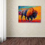 Spirit Of The Prairie by Marion Rose, 24x32-Inch Canvas Wall Art