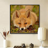 DIY 5D Diamond Painting by Number Kits,Crystal Rhinestone Embroidery Paint with Diamonds Full Drill Home Decor Cute Fox 11.8x11.8in 1 Pack by SAROW