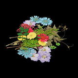 Baoblaze Multiple Natural Dried Flowers, Real Press Annual phlox, Mixed Leaves, Pink Larkspur, Mini