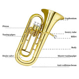 Trumpet b Flat Bb Standard Trumpet Set Brass Trumpet Musical Instruments for Students beginners Orchestra Playing With Case,Mouthpiece,Cloth, Gloves