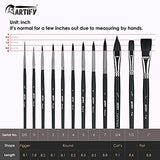 ARTIFY 12 PCS Watercolor Paint Brushes Premium Nylon Hair for Oil Painting Acrylic Painting for Kids and Adults, Beginner and Artist, Figger Round Flat Cat's Tongue Shape