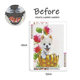 Nokoor 5D Diamond Painting for Adults by Number Kit, DIY Full Drill Crystal Rhinestone Dog Diamond Art Embroidery Paintings Cross Stitch Perfect for Relaxation and Home Wall Decor 30X40cm