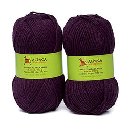 Blend Alpaca Yarn Wool 2 Skeins 200 Grams Worsted Weight - Heavenly Soft and Perfect for Knitting and Crocheting (Plum, Worsted Weight)