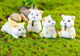 Easy 99 Mini Animals Miniature Figurines Animals Model Fairy Garden Miniature Moss Landscape DIY Terrarium Crafts Ornament Accessories for Home Décor (Hamster,Set of 4)