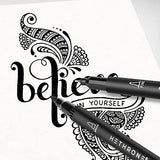 Hethrone Black Felt Tip Pens - 12 Set, Brush & Fine Tip Black Marker for Art Drawing