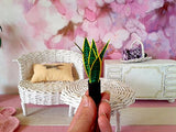 Miniature Plant Sansevieria Trifasciata Flower Dollhouse Garden Florist Doll
