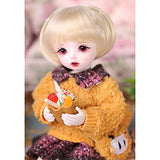 BJD Doll with 3D Eyes 26Cm 10.2Inch 1/6 DIY Handmade Ball Jiointed Dolls Clothes Sets Accessories