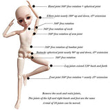 ZWJX BJD Dolls 1/3, SD Doll Ball Jointed Doll Multi-Joint Moveable Joints Fashion Dolls DIY Toys Action Figure and Came with Lots of Accessories