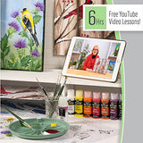 FolkArt Birds & Blossoms 2 oz One Stroke Acrylic Kit, 32 Piece Set Including 12 Multi-Surface Paints, 10 Brushes, 6 Teaching Guides, 3 Pattern Sheets & 1 2 fl oz Floating Medium