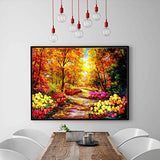 DIY 5D Diamond Painting Kits for Adults Kids Autumn Forest Landscape Full Drill Embroidery Paintings Rhinestone Flower Clad Road DIY Painting Cross Stitch Arts Crafts for Home Wall Decor (16x12inch)