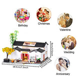 WYD Chinese Style Courtyard DIY Doll House Ancient Architecture Handmade Mini Wooden House Mini Doll House Furniture Set Children’s Toys Puzzle Toy Birthday Gifts (ShanChuanBieYuan)