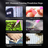 Diamond Painting Kit for Adult 5D DIY Full Round Drill Diamond Painting Sets Arts Craft for Home Decor Wedding Dress 11.8x15.7 in by Bemaystar