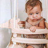 Ecotribe Wooden Giraffe Swing Set for Toddlers - Smooth Birch Wood with Natural Cotton Ropes