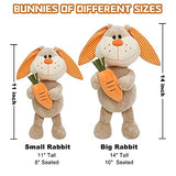 Bunny Rabbit Stuffed Animal, 2 Pack Bunny Plush with Carrot, Huggable & Washable, Cute Stuffed Animal Plush Toys for Girls Boys Kids Friends Birthday Easter Gifts (14 inch+11 inch)