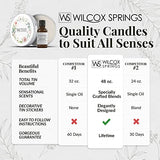 WILCOX SPRINGS Luxury Candle Making Kit - All-Inclusive DIY Home Candle Craft Set, Gift Bags, 100% Natural Premium Scented Soy Wax Candles, Blended Fragrance Oils - Aromatherapy, Spa, Home Relaxation