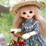 BJD Doll, 1/6 SD Dolls 10 Inch 19 Ball Jointed Doll DIY Toys with Skirt Wig Shoes and Accessories Surprise Doll Best Gift for Girls