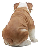 Ebros Large Lifelike Realistic English Bulldog Statue 14.5" Tall Fine Pedigree Dog Breed Collectible Decor with Glass Eyes