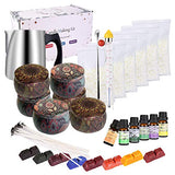Candle Making Kit Supplies,Complete DIY Beginners Set with 3LB Soy Wax, Fragrance Oil, Cotton Wicks, Pot, Tins, Dyes & More