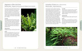 The Complete Book of Ferns: Indoors • Outdoors • Growing • Crafting • History & Lore