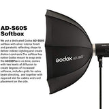 Godox AD300 Pro AD300Pro Photography Studio Kit, 300W 2.4G TTL 1/8000 HSS Photography Lighting Kit, 0.01-1.5S Recycle Time, 320 Full Power Dual Studio Lighting Kit, Expand Your Capability with Ease