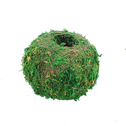 NWFashion Green Yellow Planter, Sueent Flower Pot, Moss Ball Planter (12CM, Green)