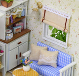 DIY Miniature Dollhouse Kit with Furniture Handmade Dolls House Miniature Kit Plus Dust Proof and LED Lights,1:24 Scale Creative Room Idea (Kitten Diary)