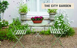 Urban Flowers: Creating abundance in a small city garden