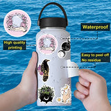 100 Pcs Witchy Stickers, Apothecary Goth Magic Stickers for Water Bottle Hydroflask Laptop Skateboard Computer, Vinyl Cool Stickers for Adults Teens