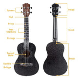 HUNYYN 23 Inch Concert Ukuleles for Adults, Best Ukulele for Beginners Adults, Black Mahogany Musical Instrument, ukulele Case, strap, Tuner, Capo, Music Books, Extra Strings, Picks, All in One Kits