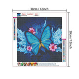 HaiMay 2 Pack DIY 5D Diamond Painting Kits by Number Kits Full Drill Painting Butterfly Diamond Pictures Arts Craft for Wall Decoration, Butterfly Diamond Painting Style (Canvas 12×12 inches)