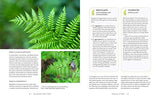 The Complete Book of Ferns: Indoors • Outdoors • Growing • Crafting • History & Lore