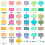 Paul Rubens 36 Macaron Colors Oil Pastel Set, Suitable for Painting Summer Feeling, Vivid Picture, Making Pictures Brightly and Active