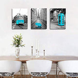 Black and white landscape Eiffel Tower wall decoration for living room 3 piece canvas wall art for bedroom modern kitchen Bathroom wall decor office home decoration Blue theme pictures canvas prints