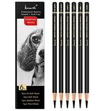 Professional Charcoal Pencils Drawing Set - Brusarth 6 Pieces (Ex-Soft, Soft, Medium, & Hard) Charcoal Pencils for Drawing, Sketching, Shading, Artist Pencils for Beginners & Artists