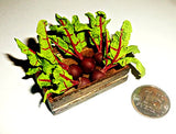 Vegetables in the baskets and boxes. Carrots, radishes, beets. The vegetables for the garden. Dollhouse miniature 1:12