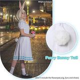 NSPSTT Women Haru Cosplay Costume Anime BEASTARS Cosplay Costume School Uniform Dress Small White