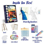 Painting Set for Beginners Plus Paint by Numbers (Peacock) | 12 Acrylic Paint Colors, Nylon Paintbrush Set, 2 Pre Stretched Canvases, 15 inch Table Top Easel, Color Wheel & Palette