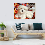 DIY 5D Diamond Painting by Number Kits for Adults, Full Round Drill Embroidery Rhinestone Painting Craft White Dog 15.7x11.8Inches