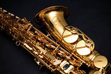 NEW! Herche Superior Alto Saxophone X3 | Professional Instruments for All Levels | High F# Key | Educator Approved & Service Plan