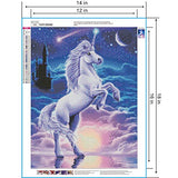 5D Full Drill Diamond Painting Kits for Adults Diamond Art Paint with Round Diamonds DIY Paint by Number Kits Unicorn Gem Art Craft with Crystal Rhinestone Embroidery (13.7x17.7 inch/35x45cm)