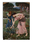 Gathering Rosebuds (Waterhouse) Streched Canvas Wrap Frame Print Wall Décor - Full Border, 24"x36"