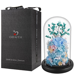 DeFaith Real Rose in Glass Dome, 9'' Beloved Series Preserved Fresh Rose Flowers for Anniversary