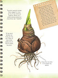 The Art of Botanical & Bird Illustration: An artist's guide to drawing and illustrating realistic