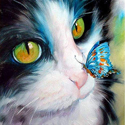 DIY 5D Diamond Painting, Diamond Embroidery Cross Stitch Kit Cat with Butterfly 5D Diamond Rhinestone Painting Crystals Cross Stitch Picture Arts Home Decor Nearzstorn (Cat with Butterfly, 30x30cm)
