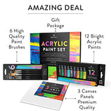 Acrylic Paint Set for Artists, Kids and Adults - 12 Vibrant Colors, 6 Brushes and 3 Paint Canvases - Perfect for Beginners or Professionals