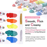 TBC The Best Crafts 12 Colors(12 x 12ml) Acrylic Paint Set for Professional Artists, Adults. Rock Painting, Clay Paint, Canvas, Fabric Paint Arts and Crafts Supplies & Student School Art Essentials