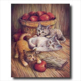 Country Kitten Kitty Cat Apple Animal Picture Black Framed Art Print