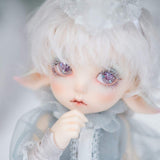 Y&D BJD 1/7 Doll Ball Joint SD Doll Surprise Gift Dolls No Elegant Dress Shoes Wig