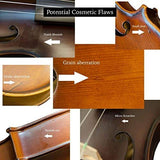 Bunnel G1 Violin Clearance Outfit - Carrying Case and Accessories Included - Highest Quality Solid Maple Wood and Ebony Fittings By Kennedy Violins (1/2)