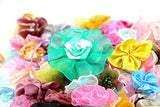 RayLineDo Pack of 100g Chiffon Ribbon Mixed Colors of Various Shaped Artificial Handmade Flowers